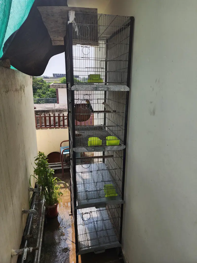 Cage big saiz — photo 2