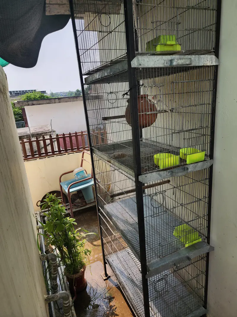 Cage big saiz — photo 3