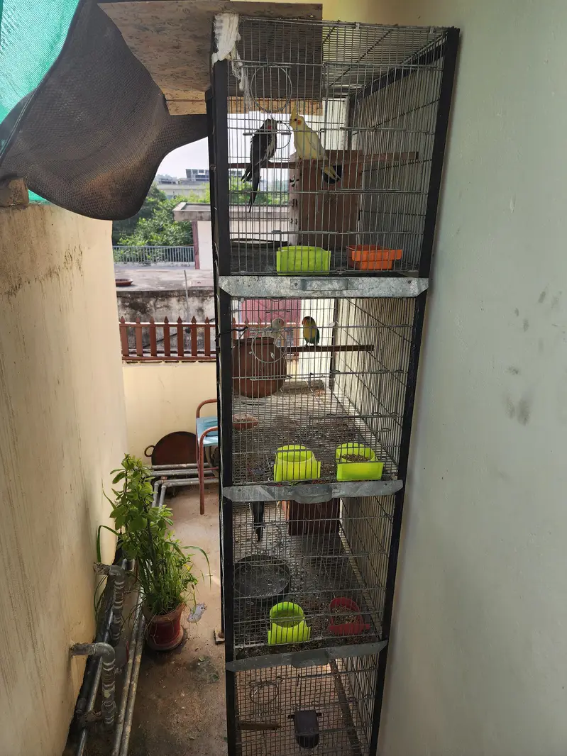 Cage big saiz — photo 5