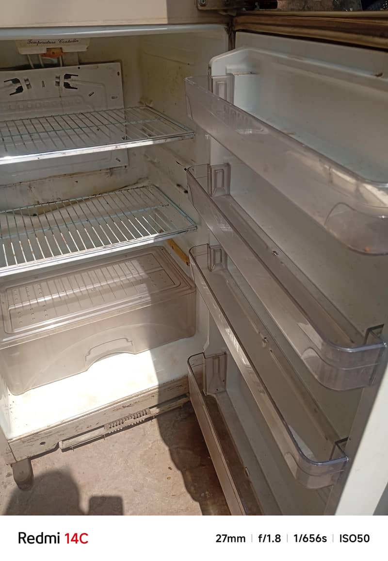 medium size fridge 1