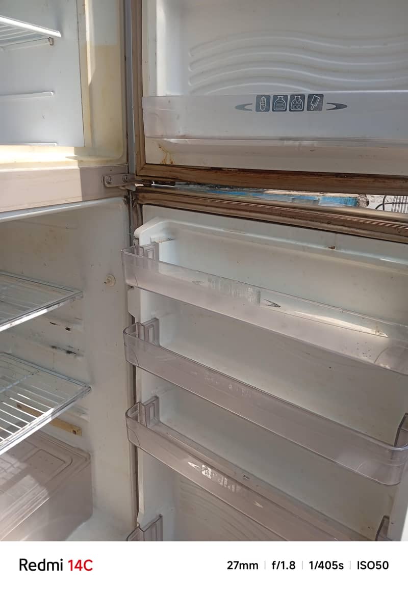 medium size fridge 2