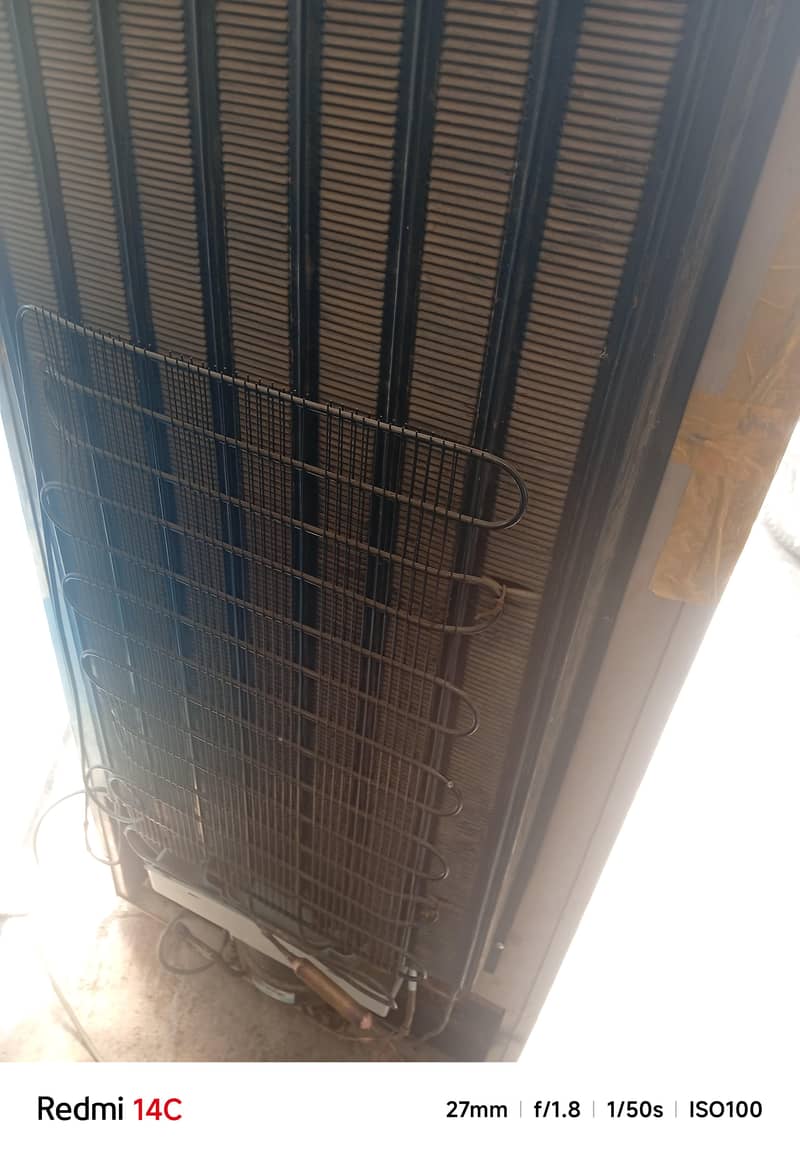 medium size fridge 6