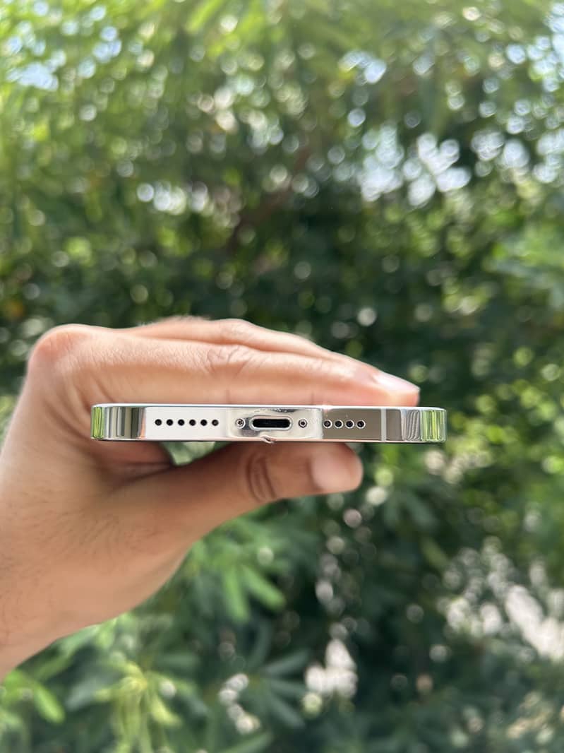 Apple iPhone 12 Pro Max 2