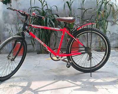 Import giant