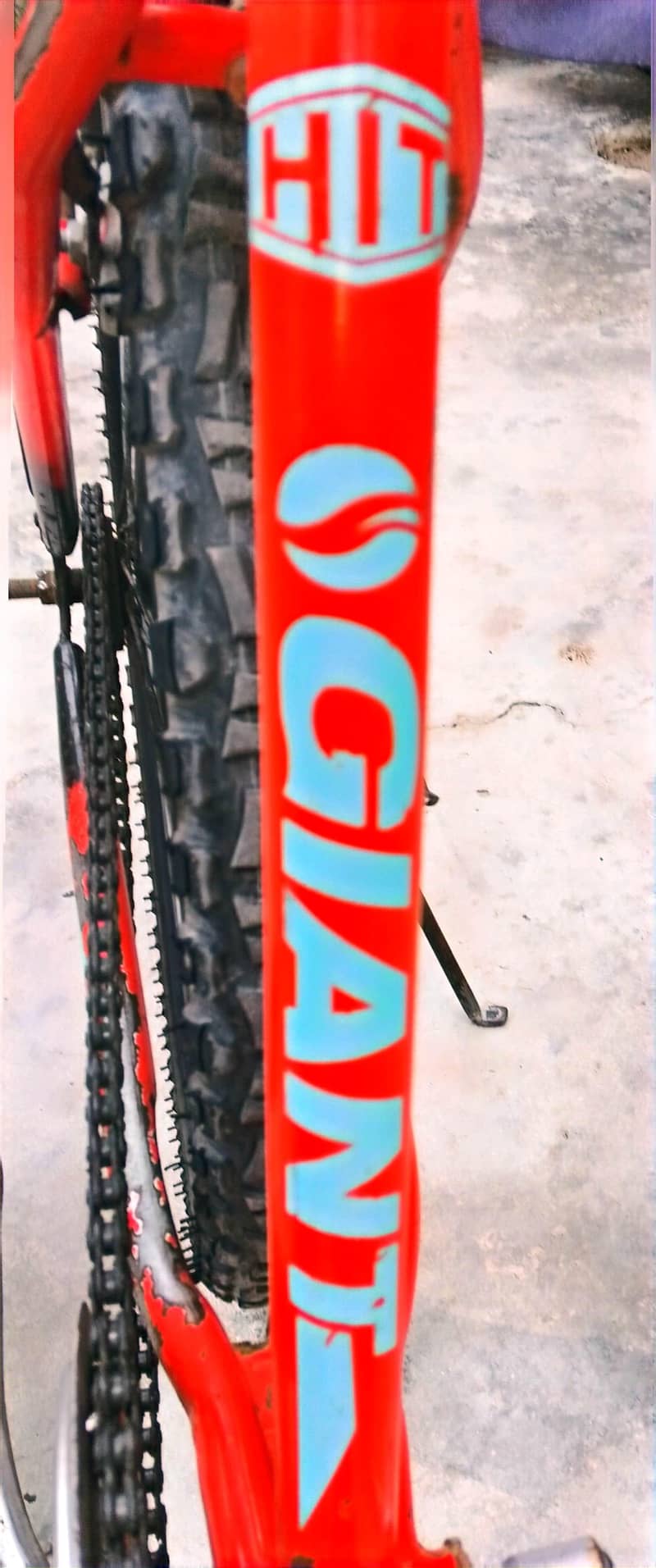 Import giant 1