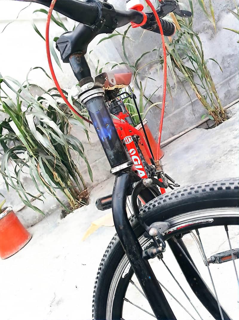 Import giant 6