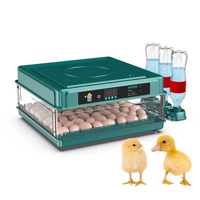 Intelligent G70 Eggs Incubator Hatcher Machine for sale