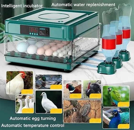 Intelligent G70 Eggs Incubator Hatcher Machine for sale — photo 2