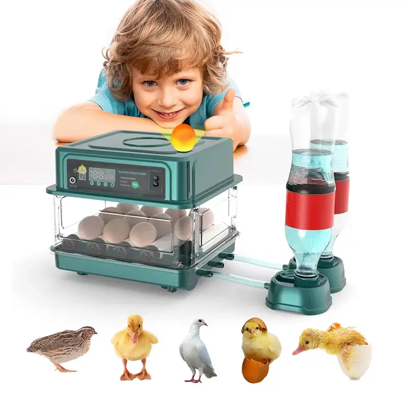 Intelligent G70 Eggs Incubator Hatcher Machine for sale — photo 3