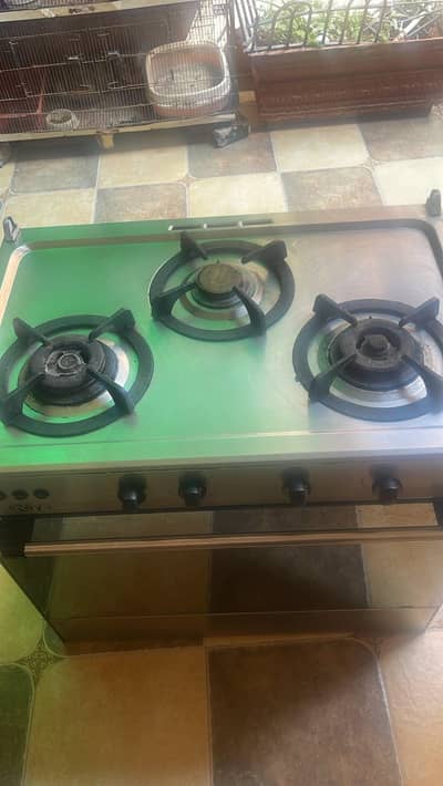 Rays burner oven