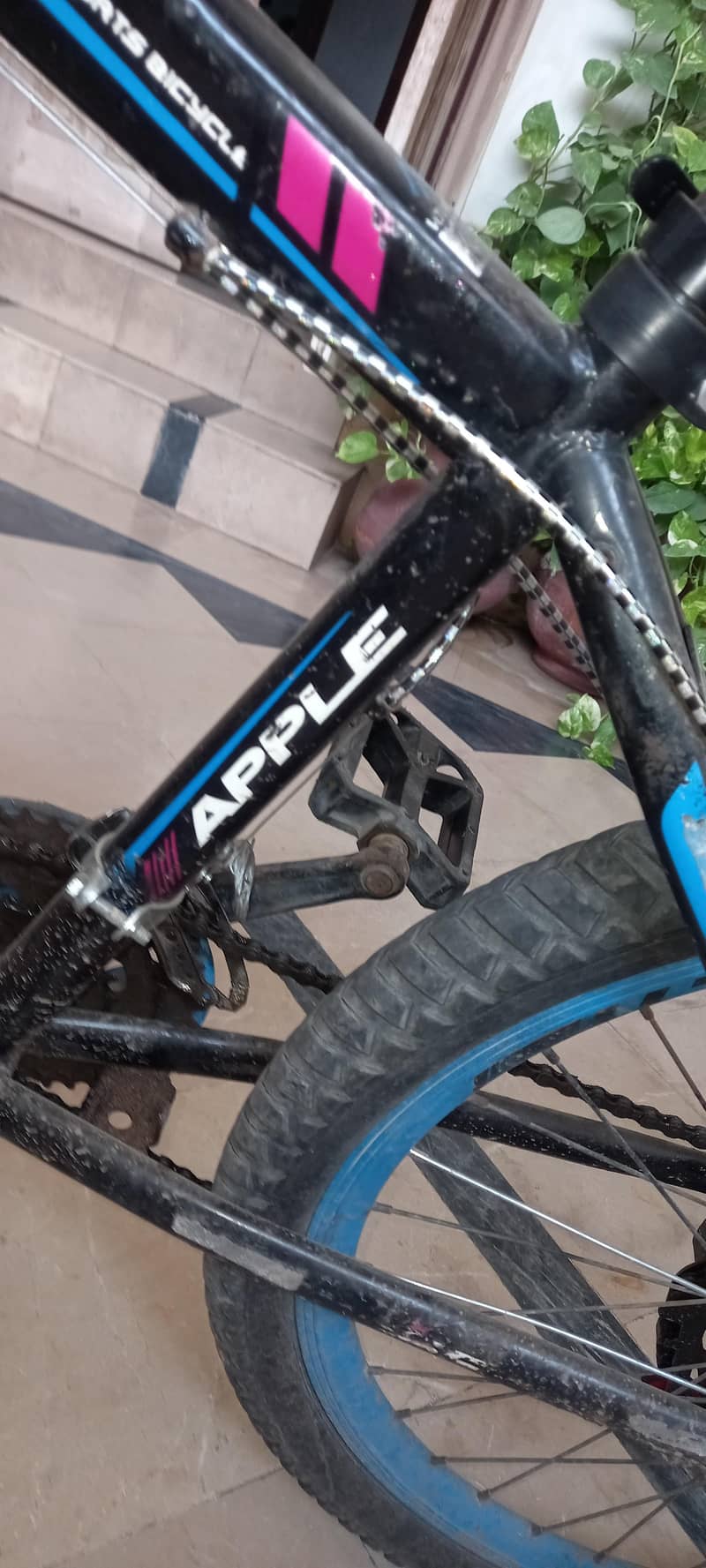 Mountain bicycle 0