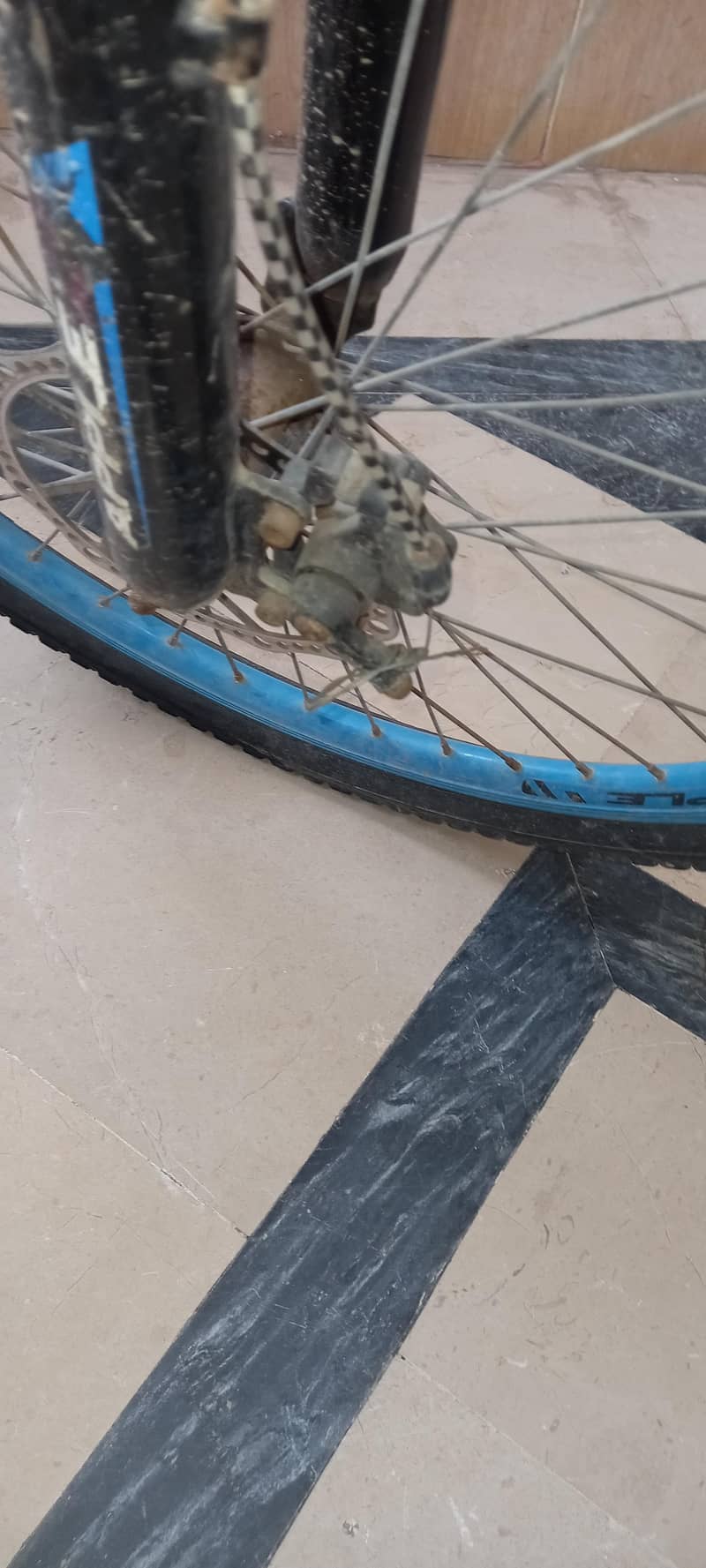 Mountain bicycle 1