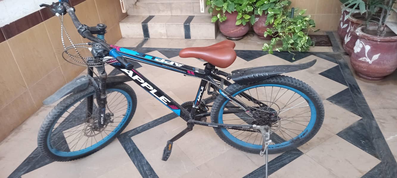 Mountain bicycle 4