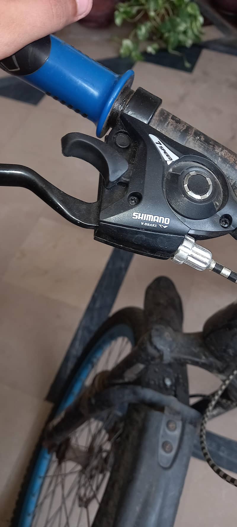 Mountain bicycle 7