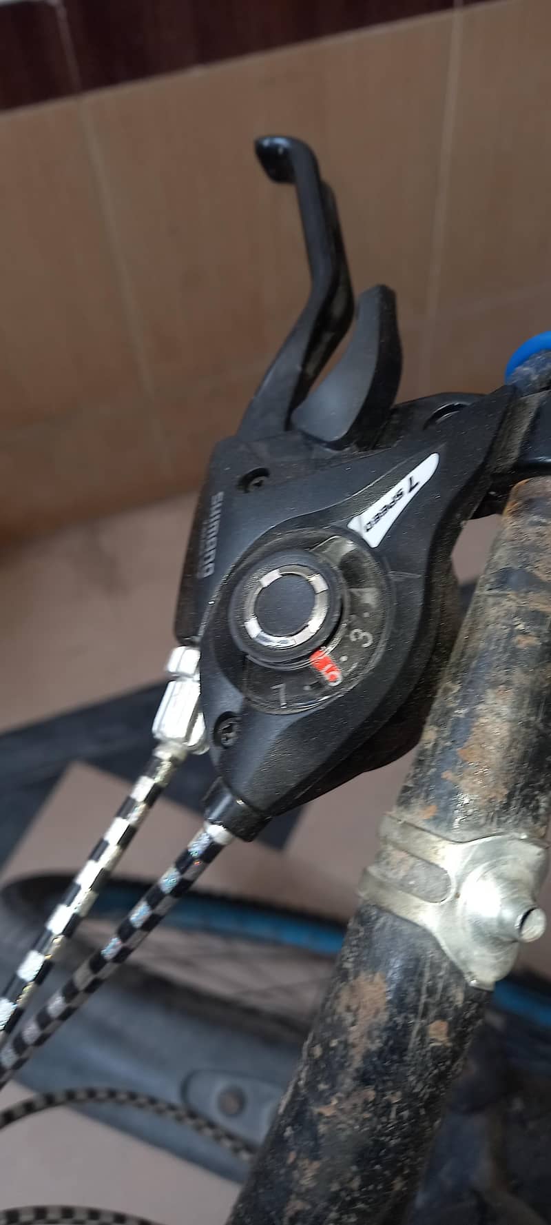 Mountain bicycle 8