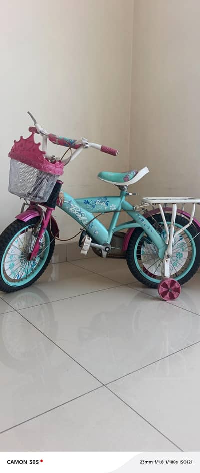 Bicycle Kids