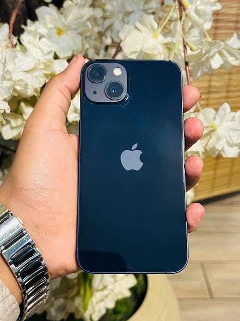 Apple iPhone 13 0