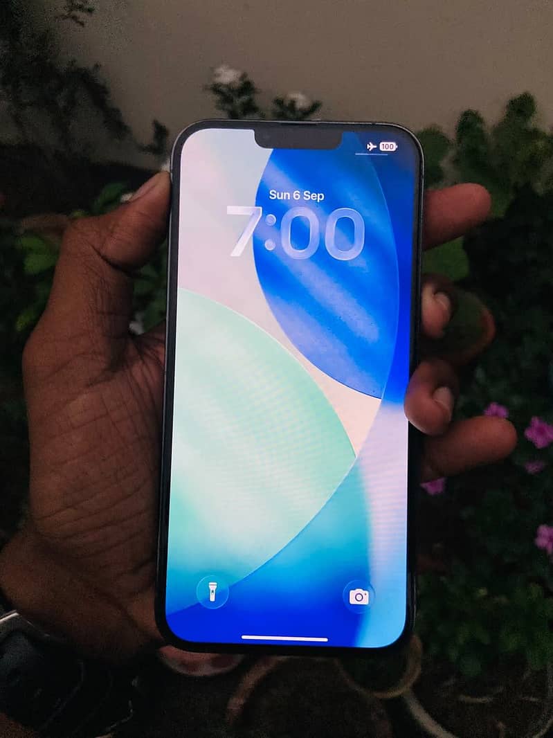Apple iPhone 13 Pro Max 4