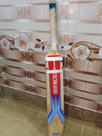 Hard Ball Bat