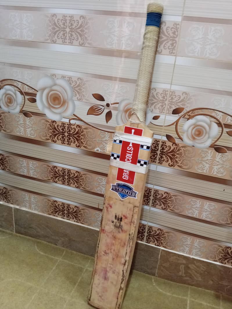 Hard Ball Bat 1