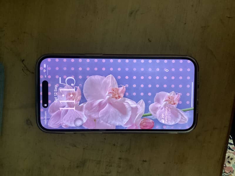 Apple iPhone 14 Pro Max 12