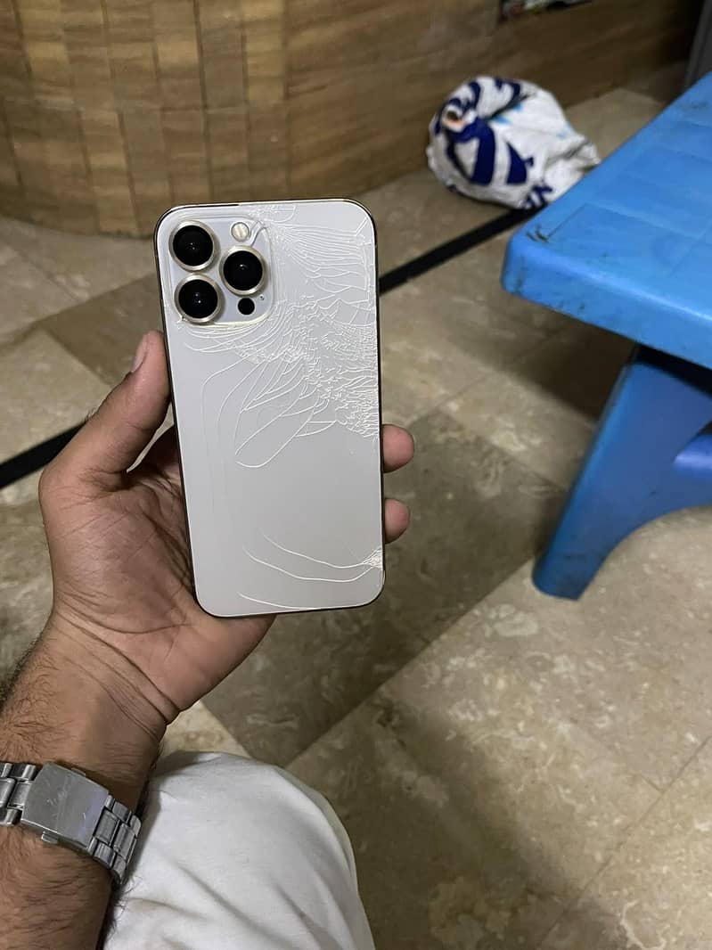 Apple iPhone 13 Pro Max 1