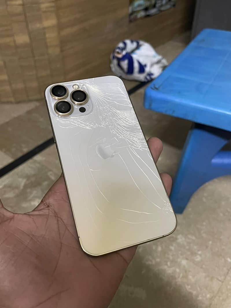 Apple iPhone 13 Pro Max 2