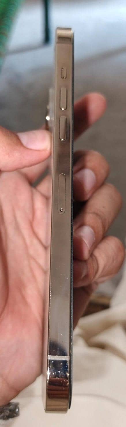 Apple iPhone 12 Pro Max 1