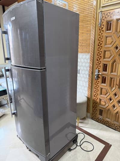 Electrolux Fridge for Sale full size - Urgent need to sale