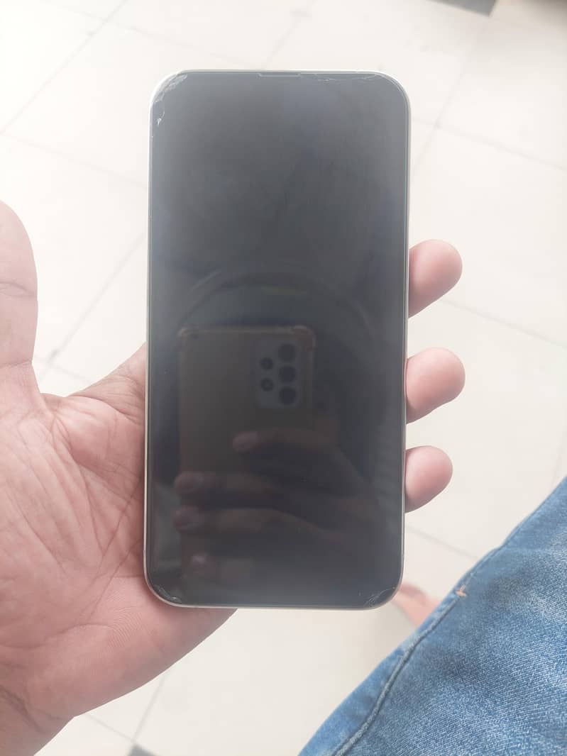 Apple iPhone 13 Pro Max 1