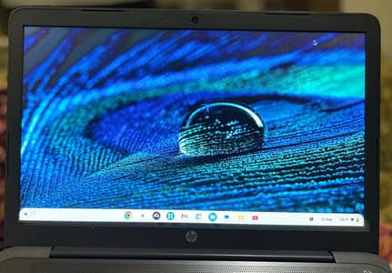 Hp Chrome Book