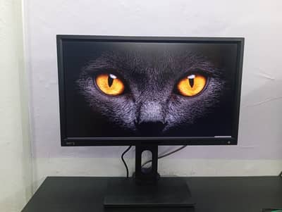 BenQ Bl2420PT 24-Inchs 2K QHD IPS CAM/CAD Designer Monitor