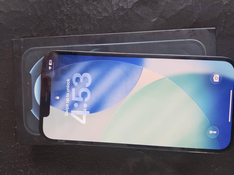Apple iPhone 12 Pro Max 1