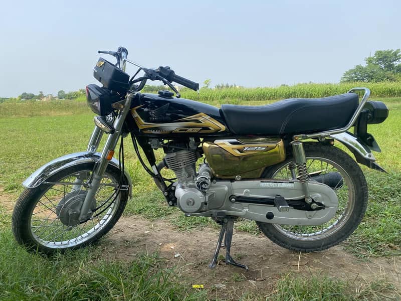 Black Gold 1