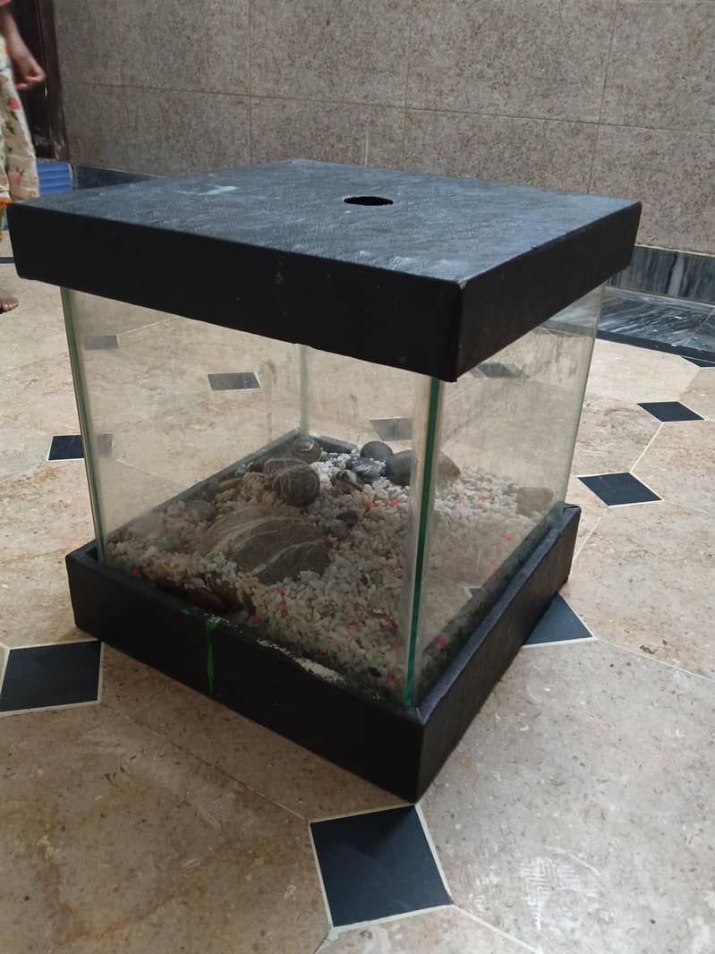 aquarium 0