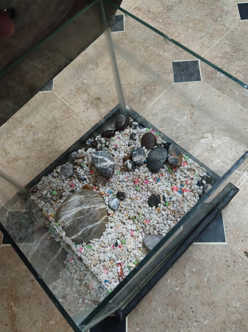aquarium 1