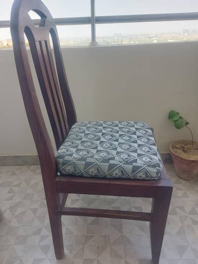 Dining chairs for Sae