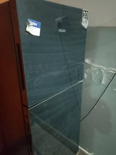 Haier Fridge 03152263469