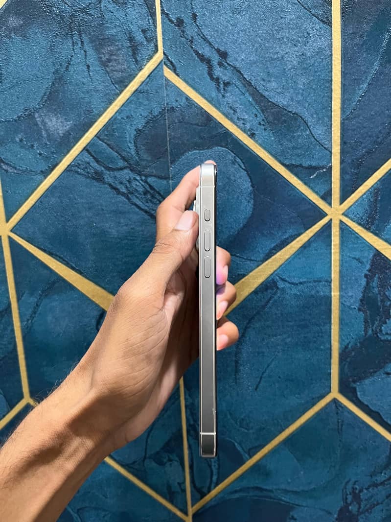 Apple iPhone 15 Pro Max 4