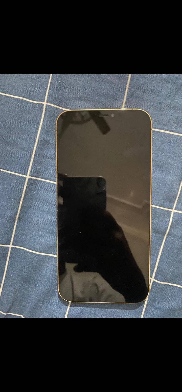 Apple iPhone 12 Pro Max 0
