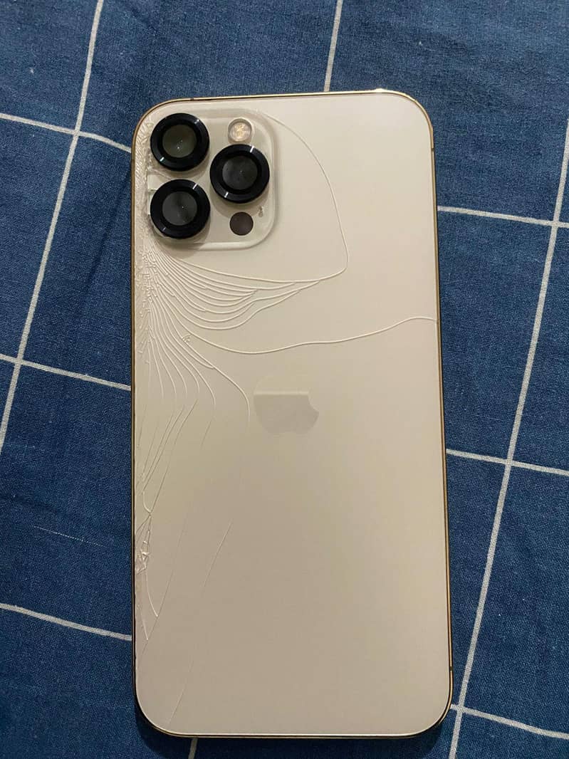 Apple iPhone 12 Pro Max 1