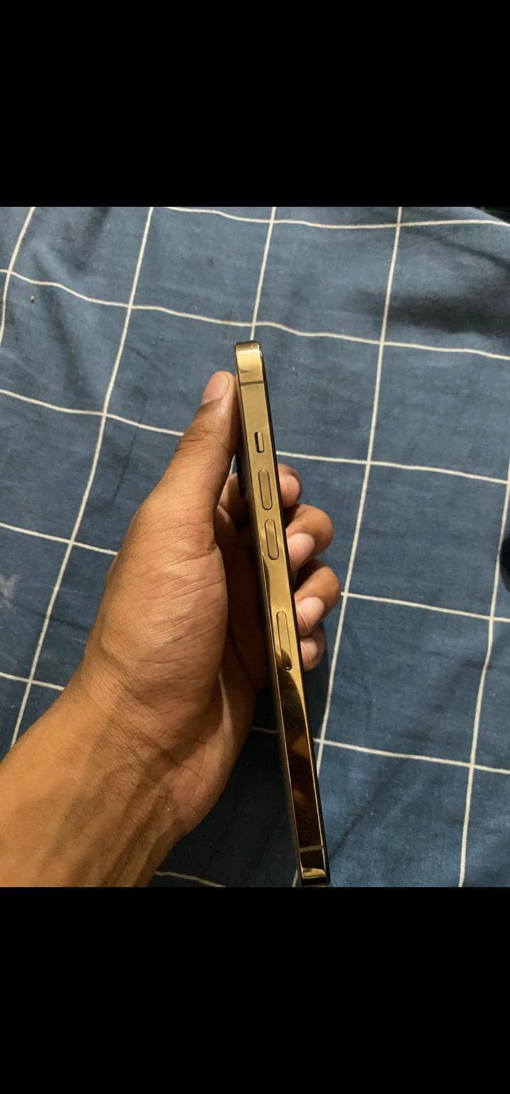 Apple iPhone 12 Pro Max 5
