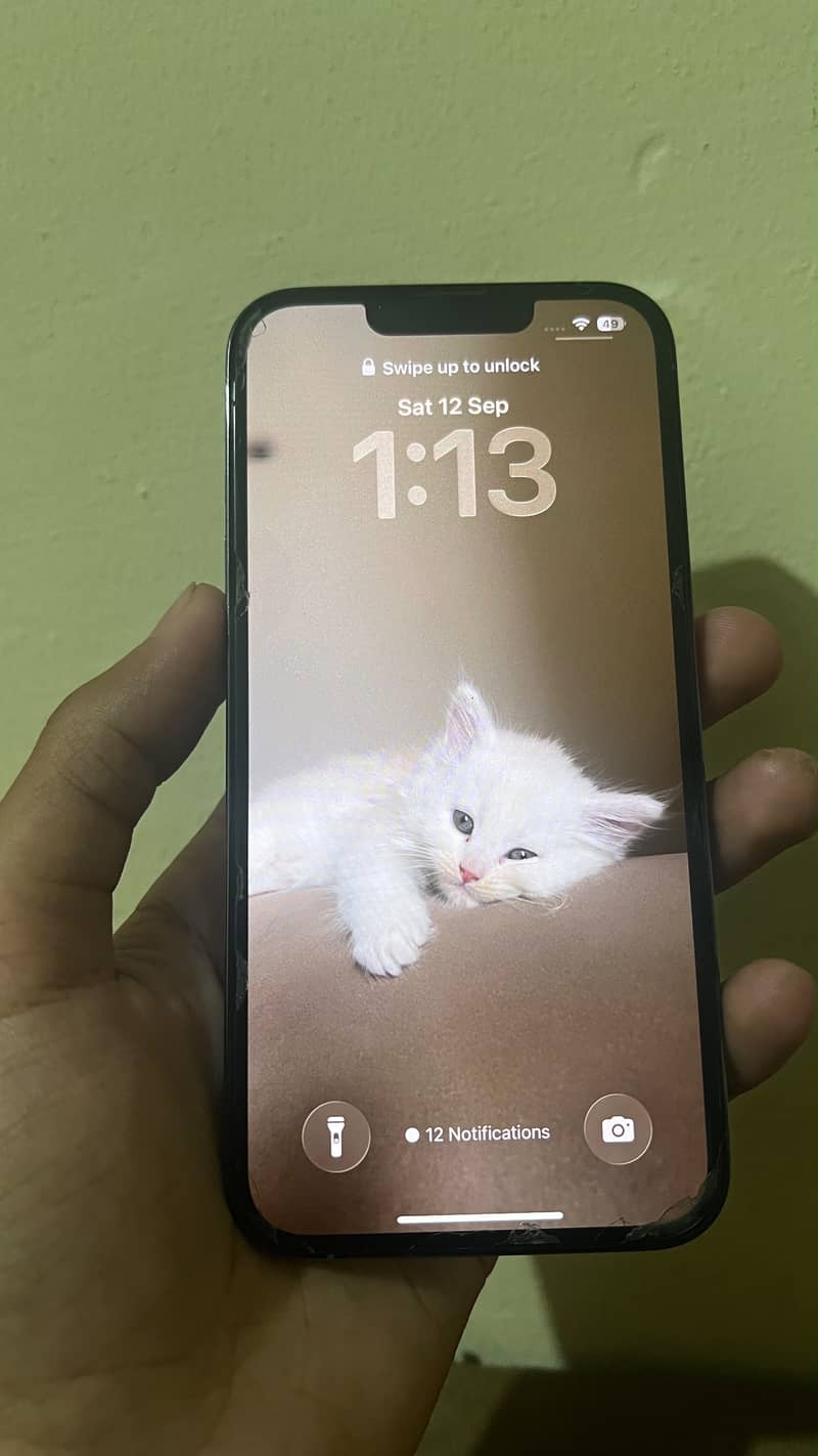 Apple iPhone 13 Pro 0