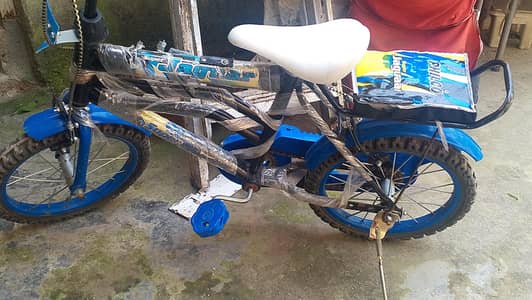bicycle for kids
