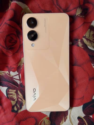 Vivo Y17s
