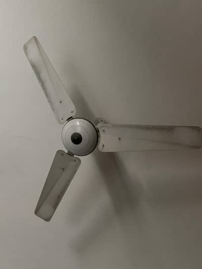 Royal Cieling Fan