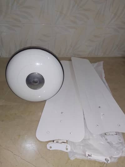 celling fans