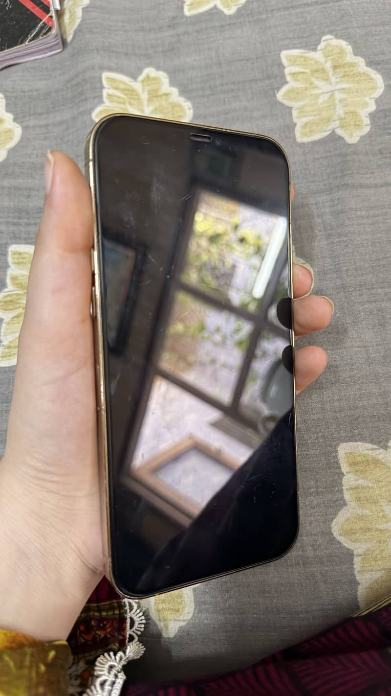 Apple iPhone 12 Pro Max 0
