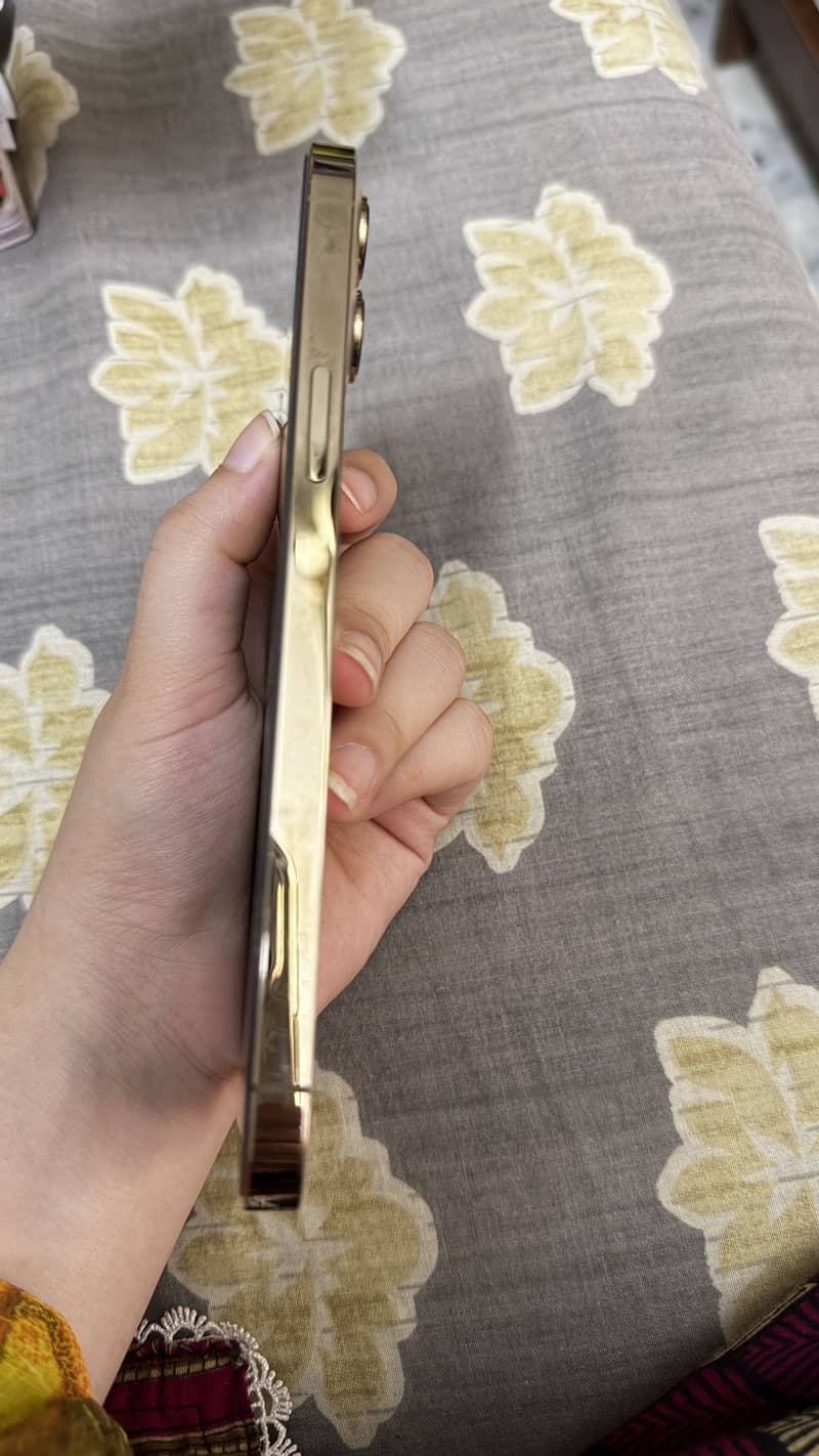 Apple iPhone 12 Pro Max 1