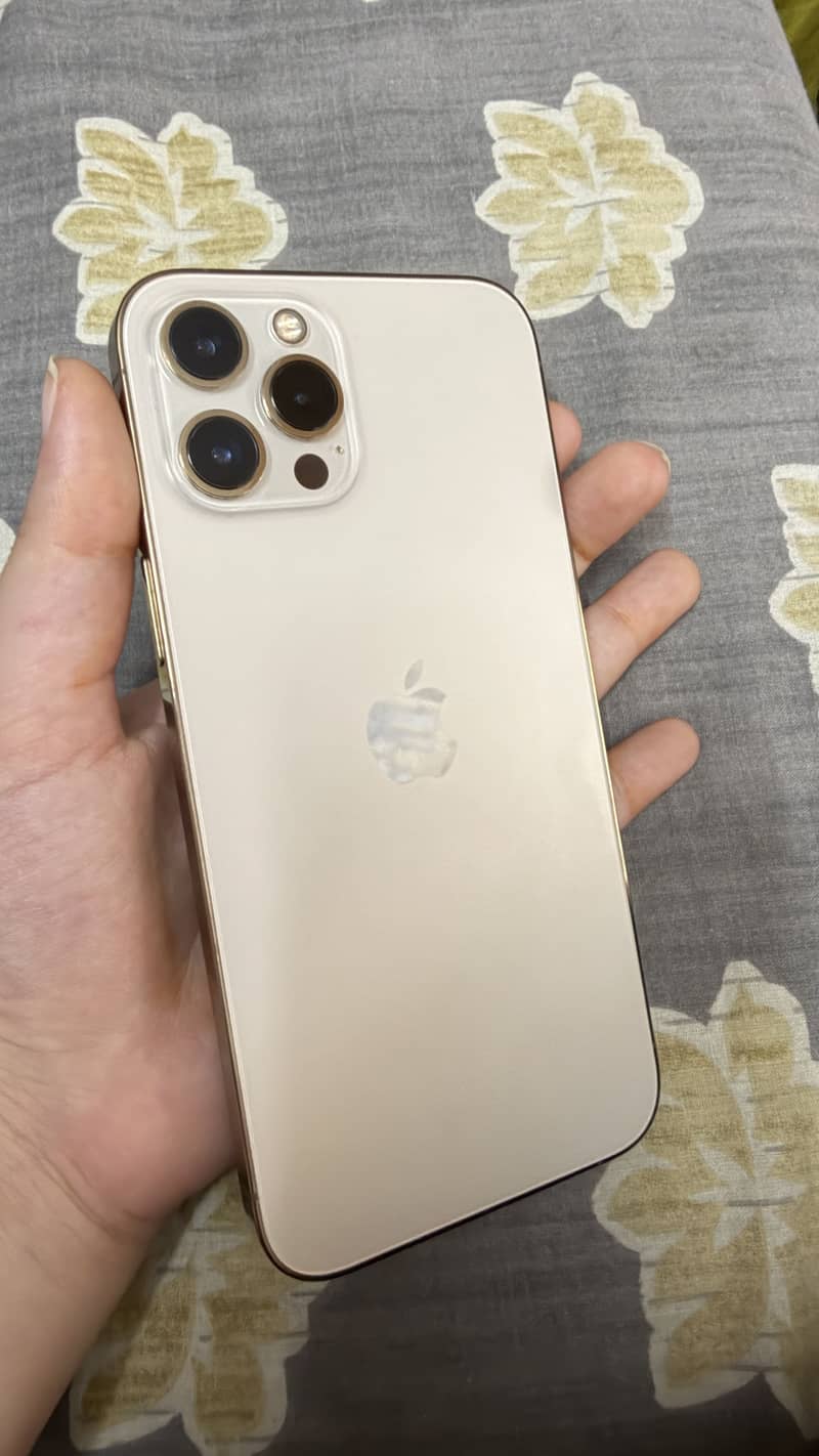Apple iPhone 12 Pro Max 2
